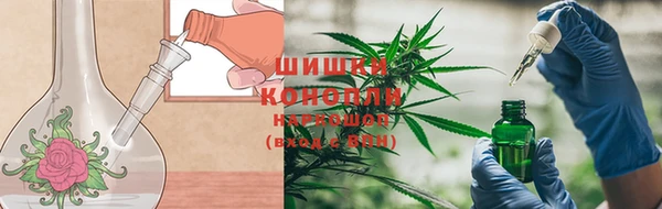 прущие крисы Алзамай