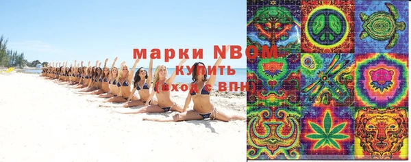 крисы Новокубанск